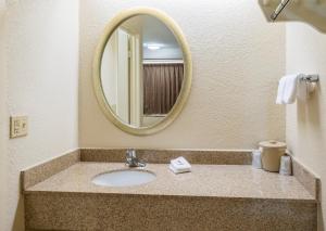 a bathroom with a sink and a mirror at Red Roof Inn Parkersburg in Parkersburg