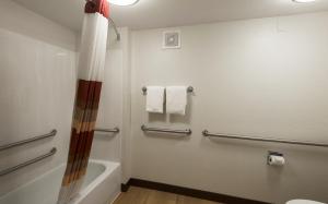 a bathroom with a shower and a tub and a toilet at Red Roof Inn San Antonio Airport in San Antonio