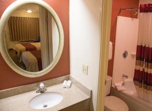 a bathroom with a sink and a mirror at Red Roof Inn Buffalo - Hamburg/ I-90 in Hamburg