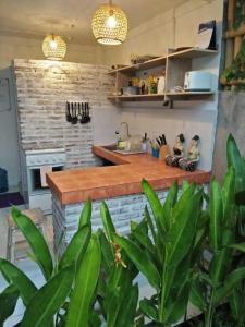 una cucina con bancone e alcune piante verdi di Pondok Ayu Homestay a Canggu