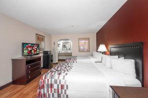 a hotel room with a large bed and a television at Red Roof Inn & Suites Oxford in Oxford