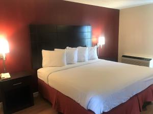 A bed or beds in a room at Red Roof Inn & Suites San Angelo