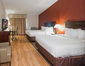 a hotel room with two beds and a desk at Red Roof Inn & Suites Mt Holly - McGuire AFB in Westampton Township +37 photos