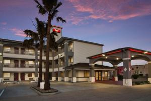 un hôtel avec un palmier en face dans l'établissement Red Roof Inn PLUS + Galveston - Beachfront, à Galveston