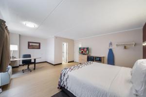 Postel nebo postele na pokoji v ubytování Red Roof Inn Laredo