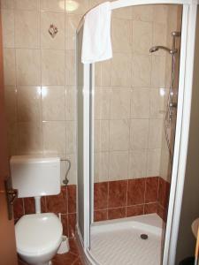 a bathroom with a toilet and a shower at Pri Lazarju Farm Stay in Podgrad