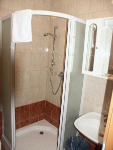 uma casa de banho com um chuveiro e um lavatório. em Pri Lazarju Farm Stay em Podgrad
