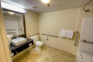 a bathroom with a sink and a toilet and a mirror at Red Roof Inn PLUS+ Henderson in Henderson