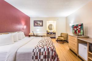 Habitación de hotel con cama y TV en Red Roof Inn Williamsburg, en Williamsburg