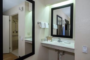 a bathroom with a sink and a mirror at Red Roof Inn Cincinnati East - Beechmont in Cherry Grove +21 photos