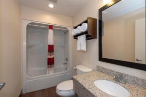 a bathroom with a toilet and a sink and a mirror at Red Roof Inn Indianapolis - Greenwood in Greenwood