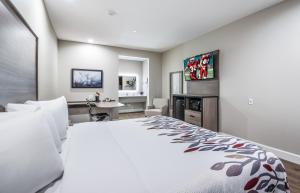 Postel nebo postele na pokoji v ubytování Red Roof Inn Baytown