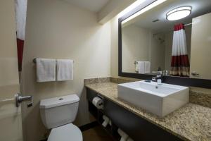 Un baño con lavabo, inodoro y espejo. en Red Roof Inn PLUS+ Houston - Energy Corridor, en Houston