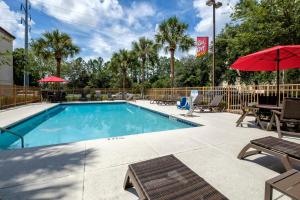 uma piscina com cadeiras e um guarda-sol em Red Roof Inn PLUS + Gainesville em Gainesville