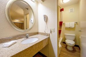 a bathroom with a sink and a toilet and a mirror at Red Roof Inn Johnson City in Johnson City