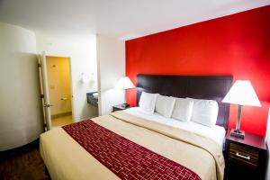 a hotel room with a large bed with a red wall at Red Roof Inn Austin - Round Rock in Round Rock