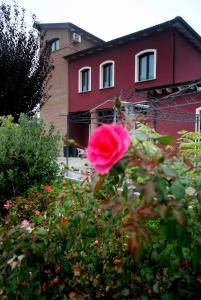 a pink rose in front of a red house at Albergo Delle Industrie in Casalmaggiore