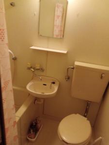 La petite salle de bains est pourvue de toilettes et d'un lavabo. dans l'établissement HAKUBA IKEDA LIFE KAN APARTMENTS, à Hakuba