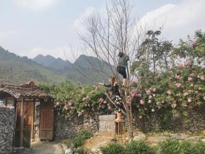 two people are standing on top of a tree at Lo Lo Homestay & Cafe Meo Vac in Mèo Vạc
