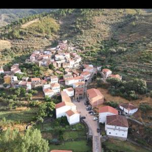 Príroda v okolí of the country house