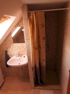 uma casa de banho com um chuveiro e um lavatório. em Barackos Vendégház Bár em Bár