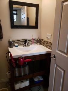 uma casa de banho com um lavatório e um espelho em Studio Fort McMurray em Fort McMurray