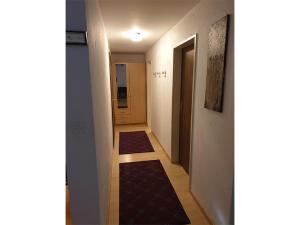 a hallway with two rugs on the floor of a room at Curtinfess Franklin in Bivio