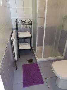 uma casa de banho com um chuveiro, um WC e um toalheiro. em Vetrovi šumijo II em Kapele