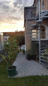 a tree in a pot next to a building at Ferienwohnung Zellner in Deggendorf