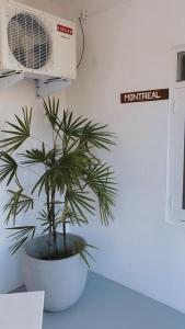 Fotografie z fotogalerie ubytování Kanada House Unawatuna v destinaci Unawatuna