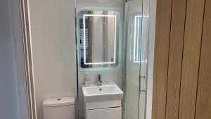 a bathroom with a toilet and a sink and a mirror at Southernwood - Garden Lodge 14 in Didcot