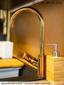 a kitchen sink with a brass kitchen faucet at Le CoCon De La Cour in Valenciennes