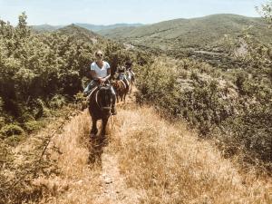 a group of people riding horses down a trail at Lost Ridge Inn, Brewery & Ranch in Sighnaghi