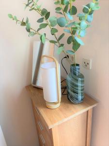 eine Vase auf einem Holzregal mit einer Pflanze in der Unterkunft Apartments zur alten Konditorei in Schwerin