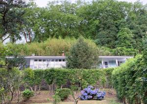 富尔纳斯Challet Miradouro do Vale的花园中一座花卉建筑