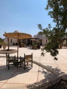 Gallery image of Les Jardins de Villa Maroc in Essaouira