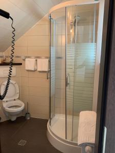 a bathroom with a shower and a toilet at Vila Palace in Caransebeş