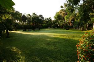Agriturismo Papyrus外面的花园