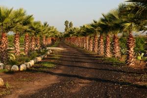 Agriturismo Papyrus外面的花园
