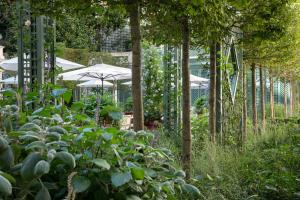 a garden with trees and plants and umbrellas at Le Bristol Paris - an Oetker Collection Hotel in Paris