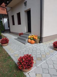Ảnh trong thư viện ảnh của Drinski Konak ở Bajina Bašta