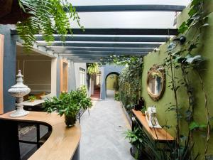 an indoor garden with plants on the wall at Casa Pánuco in Mexico City +202 photos