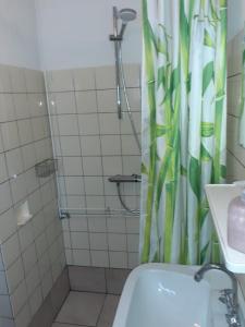 uma casa de banho com um chuveiro, um WC e um lavatório. em Vakantiehuisje in Centrum Ootmarsum em Ootmarsum