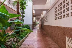 un couloir vide dans un bâtiment avec des plantes dans l'établissement Apartamentos Bellamar, à Cambrils