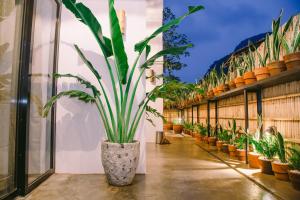 Imagem da galeria de SANSE Boutique Hotel em El Nido