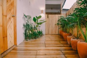 a hallway with potted plants and a wooden floor at SANSE Boutique Hotel in El Nido