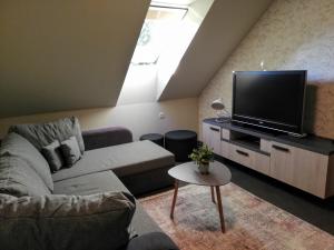 een woonkamer met een bank en een flatscreen-tv bij Fajn Apartment in Šempeter v Savinjski Dolini