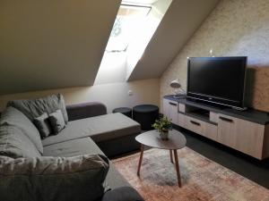 Una sala de estar con un sofá y un televisor de pantalla plana. en Fajn Apartment, en Šempeter v Savinjski Dolini