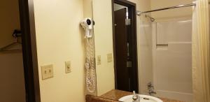 a shower in a bathroom with a sink and a mirror at Family Budget Inn in Bethany +19 photos