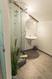 a bathroom with a shower and a sink at Waldhotel Seebachschleife in Bayerisch Eisenstein